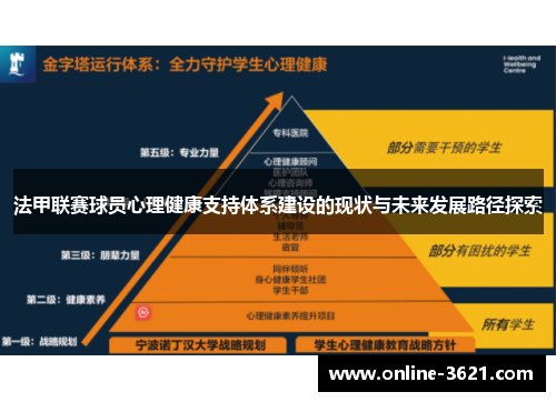 法甲联赛球员心理健康支持体系建设的现状与未来发展路径探索