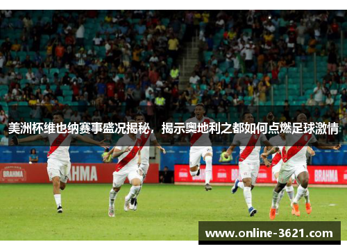 美洲杯维也纳赛事盛况揭秘，揭示奥地利之都如何点燃足球激情