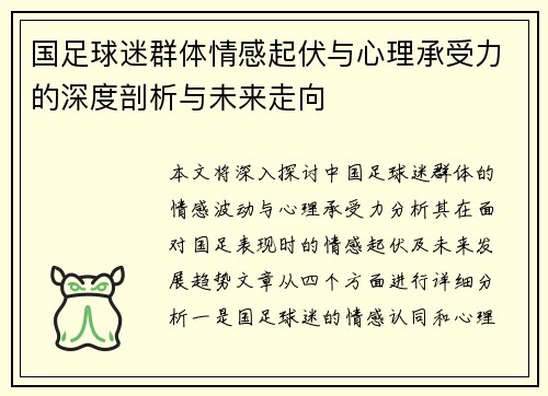 国足球迷群体情感起伏与心理承受力的深度剖析与未来走向